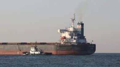 Photo of More Ukraine grain sets sail as new shelling hits nuclear plant