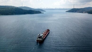 Photo of Kyiv, Moscow trade blame over nuclear plant
