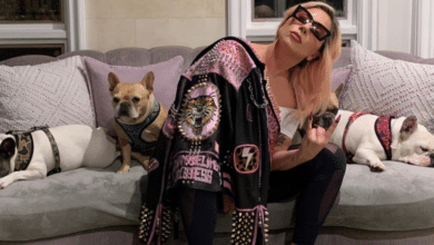 Photo of Second Lady Gaga dog-napper jailed