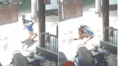 Photo of WATCH: Boy saves little brother’s life after he falls from terrace