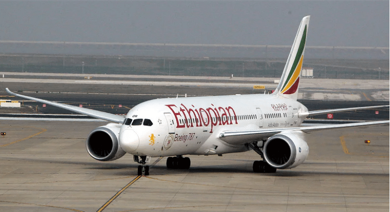 Ethiopian Airlines pilots fall asleep mid-flight; check out what happened next
