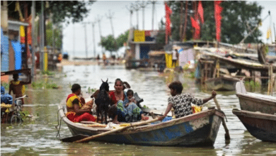 Photo of 15 dead in northern India after monsoon floods