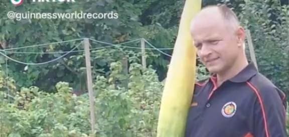 World's longest cucumber grown in Britain