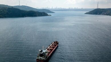 Photo of First Ukraine grain ship docks in Turkey after being turned away