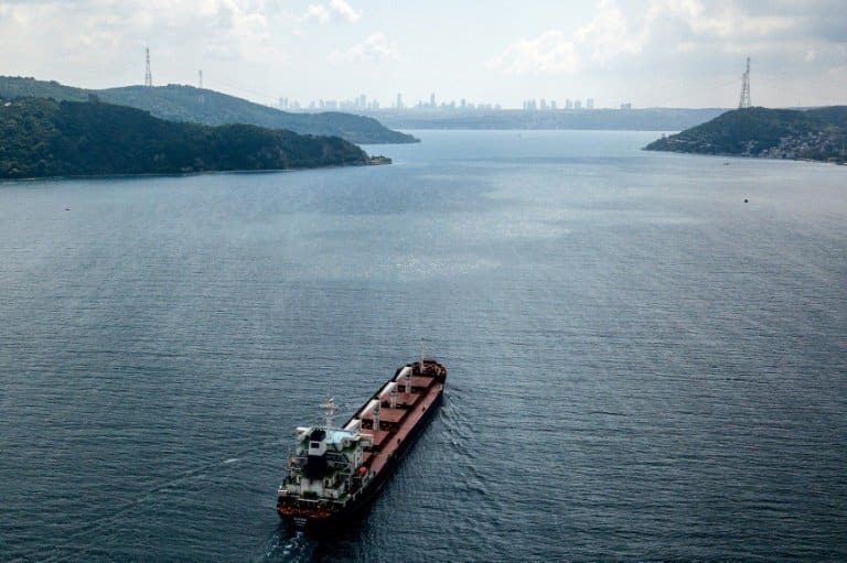 First Ukraine grain ship docks in Turkey after being turned away