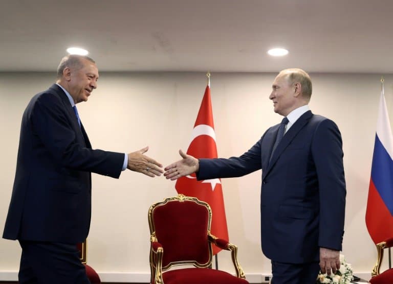 'Balancing act': Erdogan to sound out Putin on Ukraine and Syria