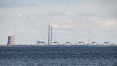Photo of Russian strikes near Ukraine nuclear plant kill 14