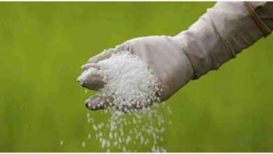 Photo of Urea fertilizer price goes up by Tk 6 a kg