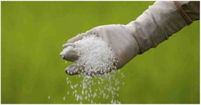 Urea fertiliser price goes up by Tk 6 a kg