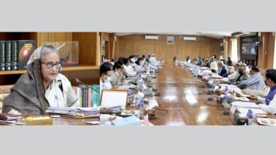 Photo of Cabinet clears draft drug law keeping maximum 10-yr jail for irregularities
