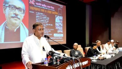 Photo of Information Minister urges UNHRC commissioner to pay attention to Palestine, Myanmar
