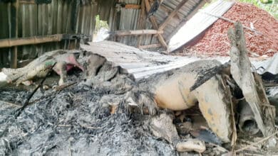 Photo of Idols desecreted, temple set afire in Kurigram