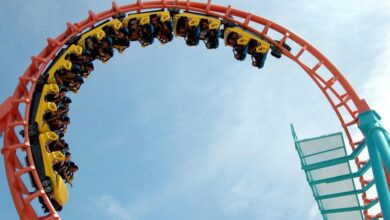 Photo of 57-year-old woman dies after falling off roller coaster