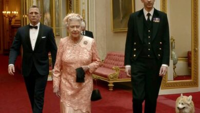 Photo of Demand for queen’s favourite corgi dogs hits new high after her death