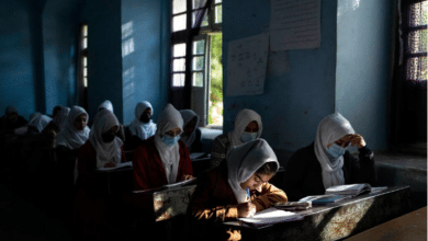 Photo of Taliban reject UN report, say no women fired from govt jobs