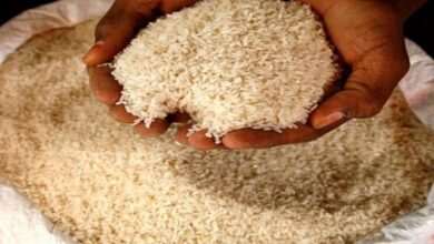 Photo of India Bans Export Of Broken Rice