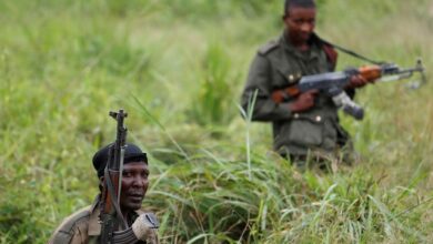 Photo of DR Congo rebels kill 17 civilians: Civil society