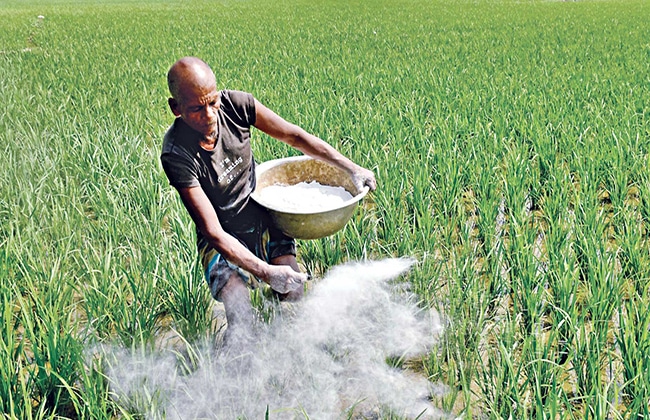 Govt to procure 90,000 MTs of fertilizer, 30,000 MTs of phosphoric acid