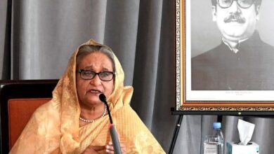 Photo of PM asks to give befitting reply to anti-Bangladesh propaganda