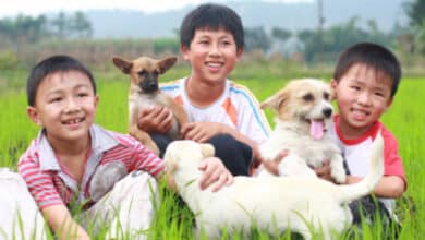 Photo of World Rabies Day today