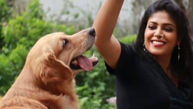 Photo of Dogs can sense when we’re stressed, study suggests