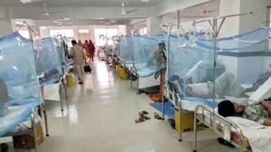 Photo of Dengue takes 5 lives, sends 873 patients to hospital in 24 hours