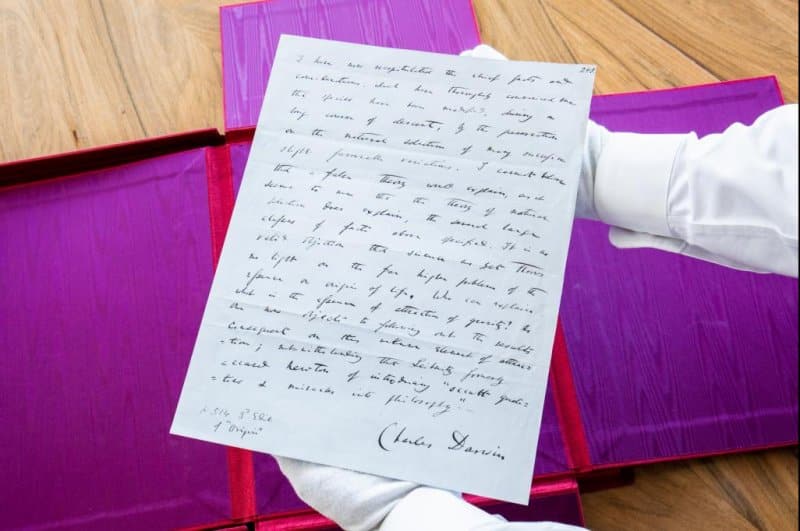 'Extremely rare' Charles Darwin manuscript expected to sell for up to $800K at auction