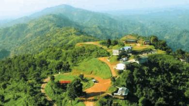 Photo of Nilgiri-Chimbuk-Thanchi open for tourists