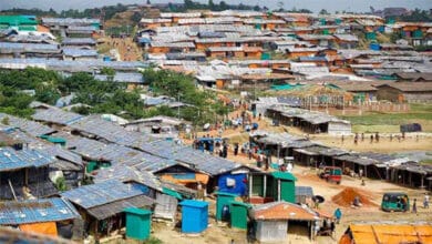 Photo of Rohingya assailants abduct teenage boy, gun down farmer in Teknaf