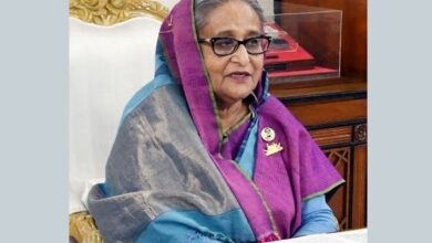 Photo of Govt trying best for development of communication system: PM