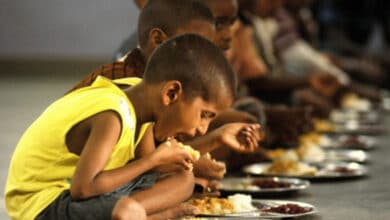 Photo of World Food Day today