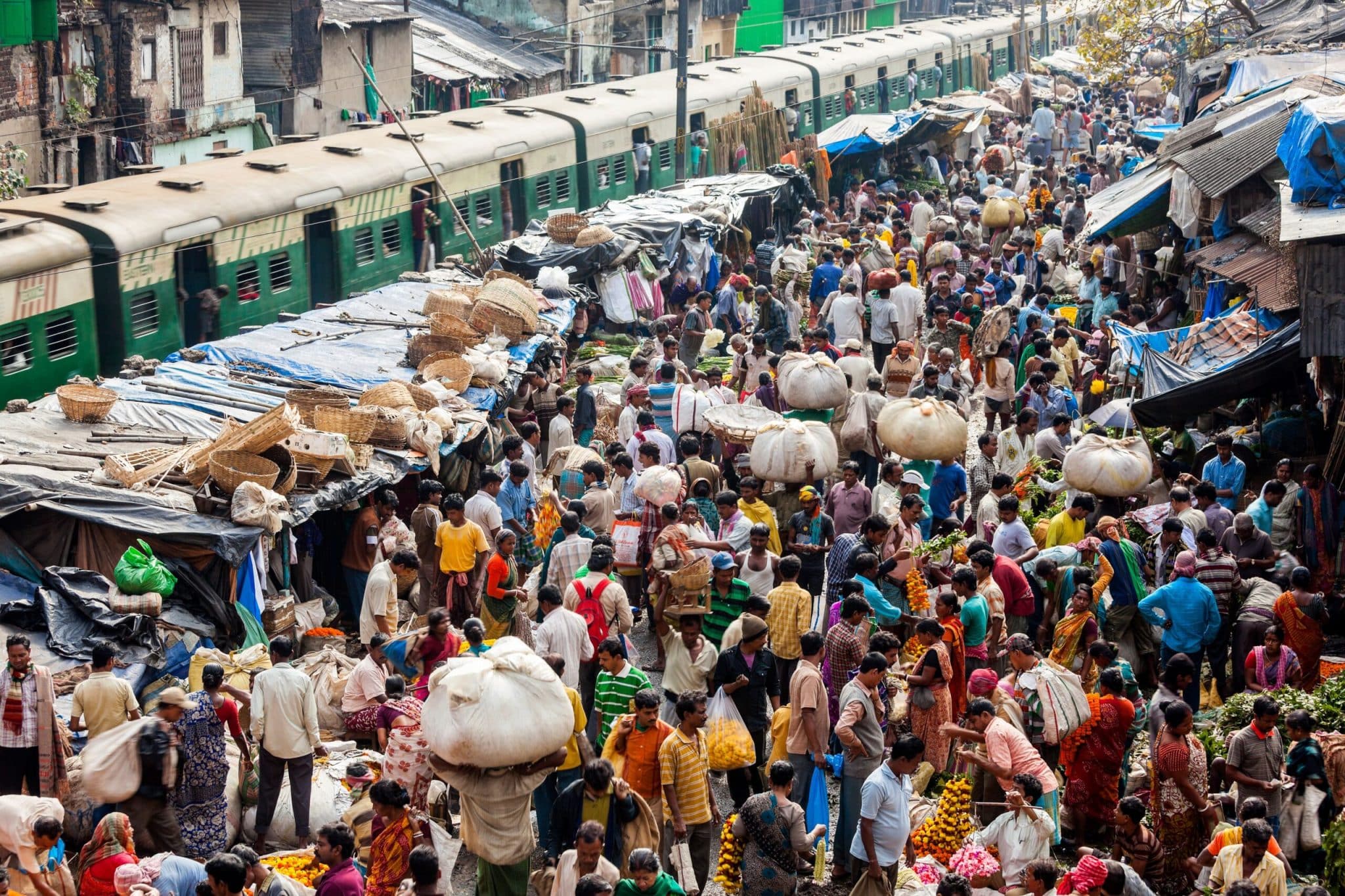 World population reaches 8 billion, says UN