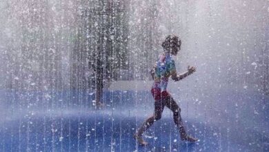 Photo of 15,000 killed by hot weather in Europe in 2022: WHO