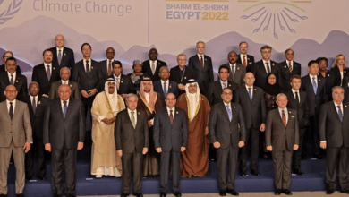 Photo of COP27: Countries band together to keep forest promise
