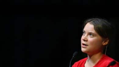 Photo of Greta Thunberg to skip ‘greenwashing’ COP27 climate summit in Egypt