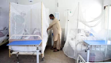 Photo of 7 dengue patients dead, 983 hospitalized in 24 hrs