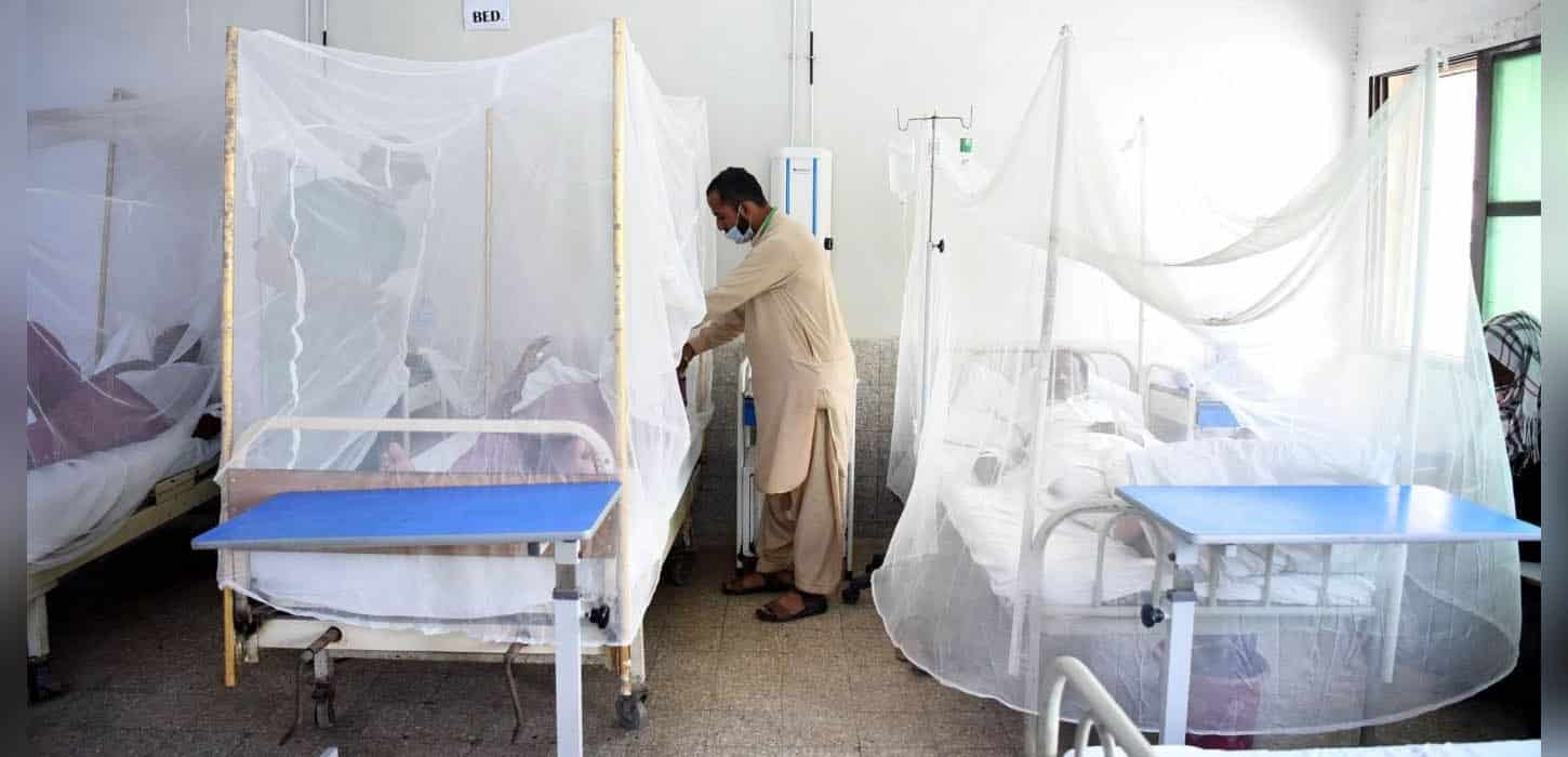 7 dengue patients dead, 983 hospitalized in 24 hrs