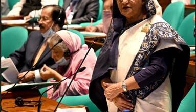 Photo of Govt to punish those spreading propaganda against country abroad: PM tells JS