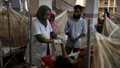 Photo of Nine more dengue patients die in 24hrs; 1,565 hospitalized