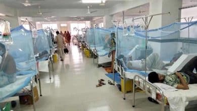 Photo of 14 dengue patients die, 2,865 hospitalized in a day