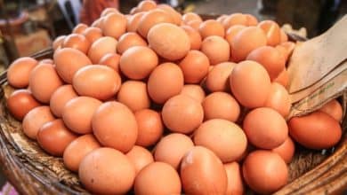 Photo of Govt allows to import 40m eggs from India on four conditions