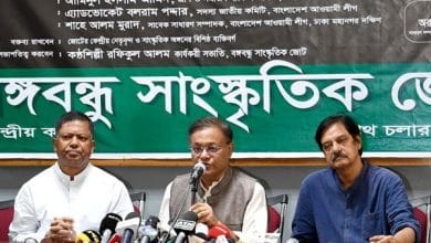 Photo of None should be excited with US visa policy: Hasan Mahmud