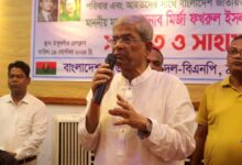 Photo of Giving army magistracy powers means creating fresh problems: Mirza Fakhrul